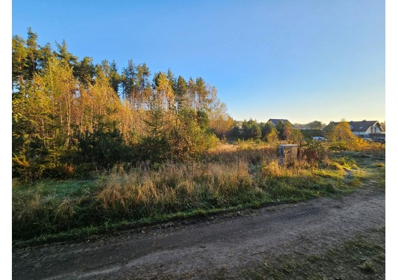 Leśniewo ul. M. Reja