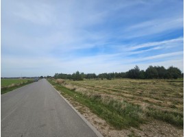 Połczyno
